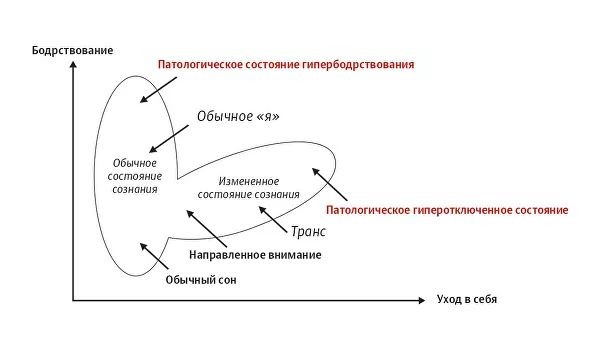 Необычные свойства мозга йогов и шаманов