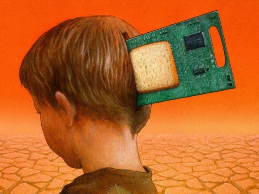 Вместо образованности и знания распространяется невежество и беспомощность