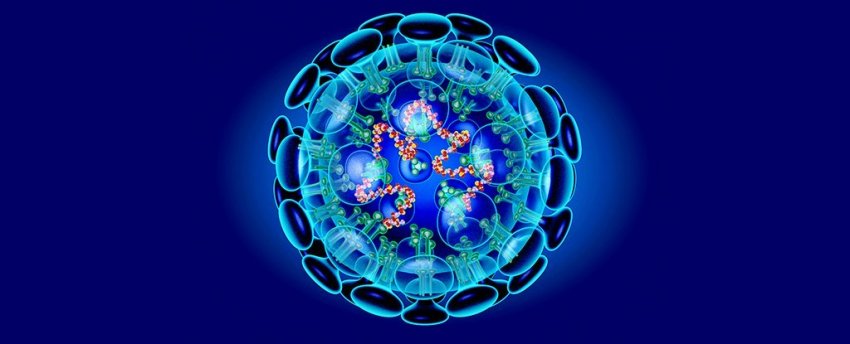 Насколько опасен китайский коронавирус? 13 ответов на главные вопросы