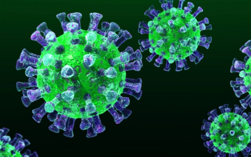 Насколько опасен китайский коронавирус? 13 ответов на главные вопросы