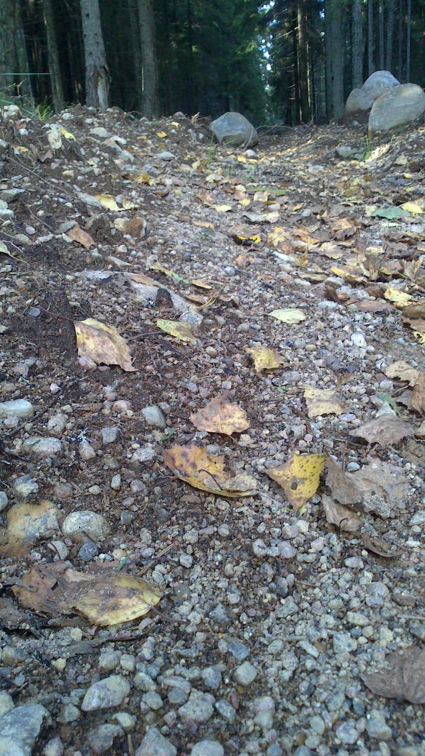 Когда утонул Пра-Питер. Часть 1.