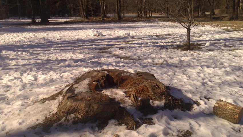 Когда утонул Пра-Питер. Часть 1.