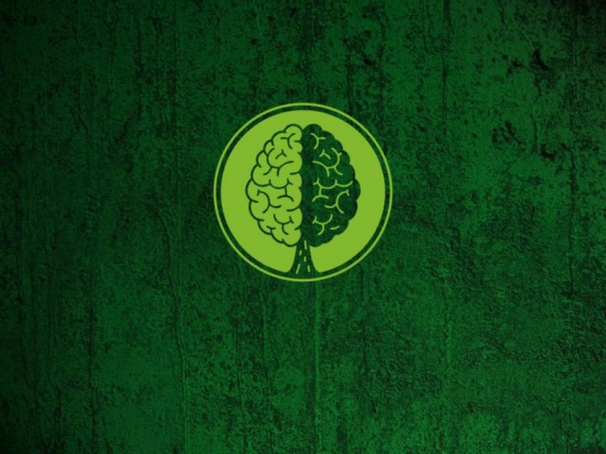 Второе Послание Лесника — I