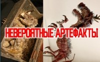 Коллекция Криптидов Мерлина. Доказательства сказочного прошлого Земли.