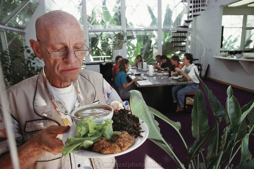 «Биосфера-2»: Провал эксперимента по созданию замкнутой экосистемы