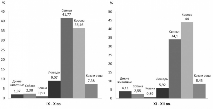 ТОП-8 фактов из истории котиков на Руси