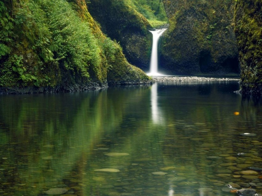 Минеральные источники России. Оздоровительная сила вод