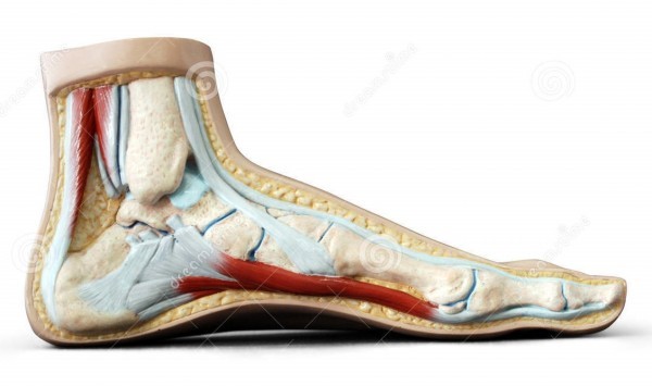 Атланты. Версия. Атланты. Версия.