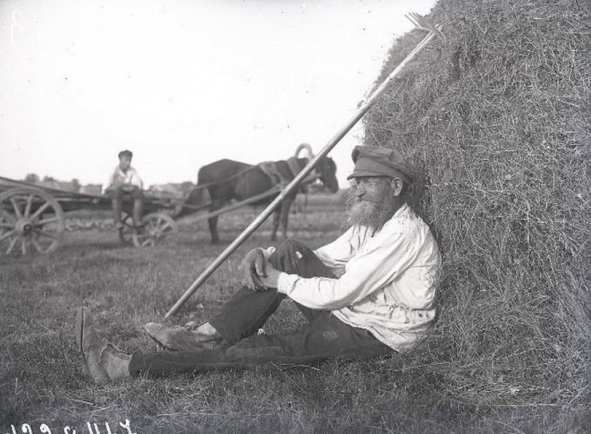«Здравствуйте!» - пословицы и пожелание здоровья в славянской культуре