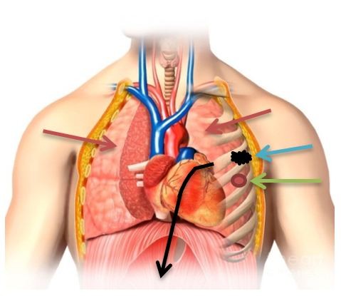 Самоубийство Маяковского оказалось случайным выстрелом Самоубийство Маяковского оказалось случайным выстрелом