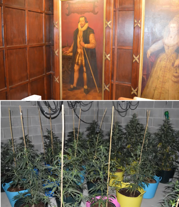 Наркоторговец замаскировал под сарай роскошный особняк с коноплёй