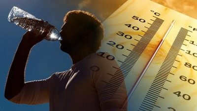 Ученые: длительное прямое попадание солнечного света на поверхность головы ухудшает двигательные и когнитивные функции