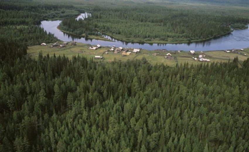 Леса регулируют климат и производят ветер - Теория биотического насоса