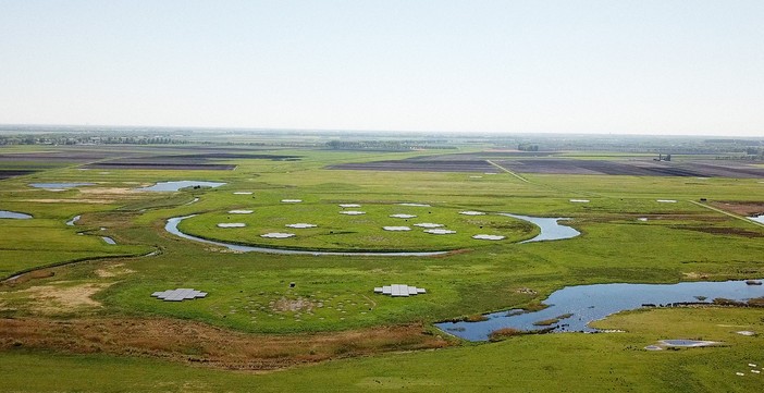 Электромагнитная теория о душе Вселенной Электромагнитная теория о душе Вселенной