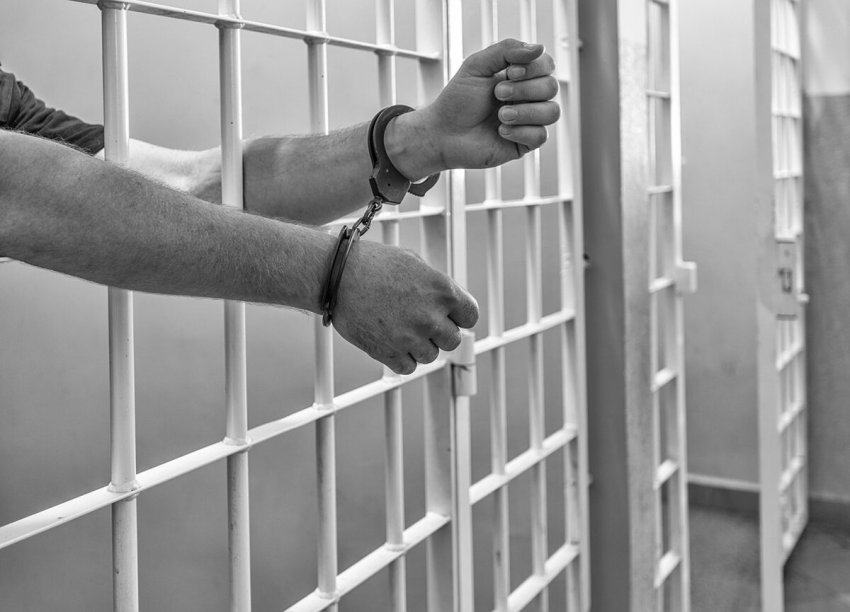 Причины устойчивости вируса организованной преступности: убить нельзя, блокировать