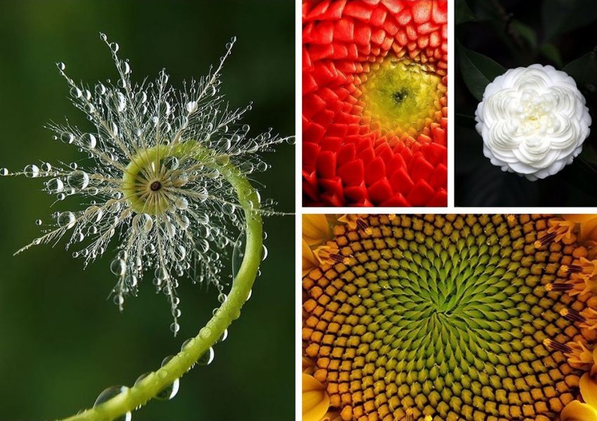 Загадки природы: симметрия и ассиметрия