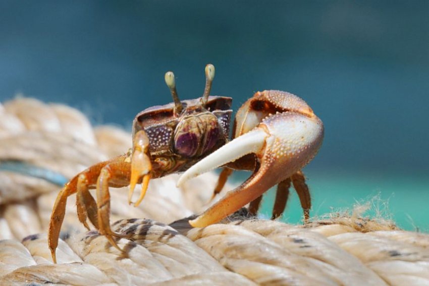 Загадки природы: симметрия и ассиметрия