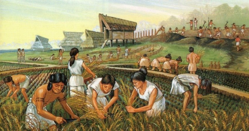 Зачем древние люди перешли на земледелие?