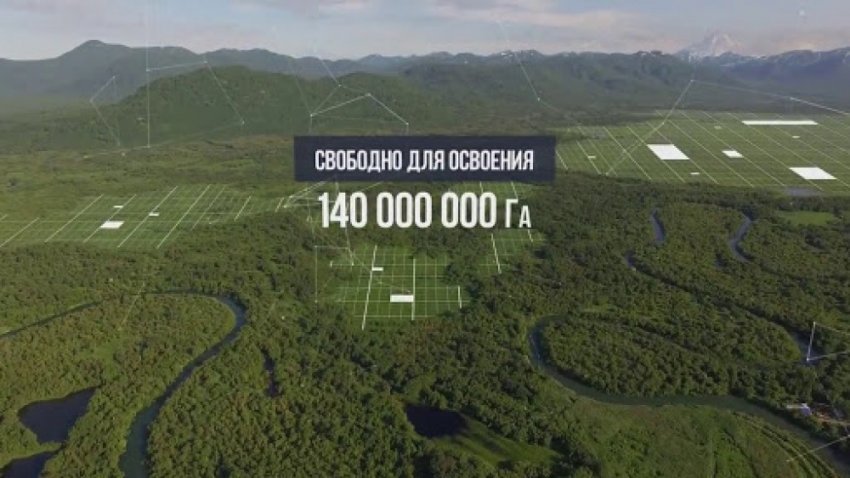 Дальний Восток: Как семьи осваивают бесплатные гектары