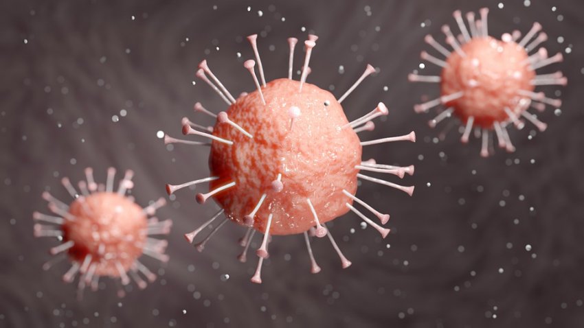 Могут ли мутации Covid-19 задержать выход вакцины: китайские ученые дали четкий ответ