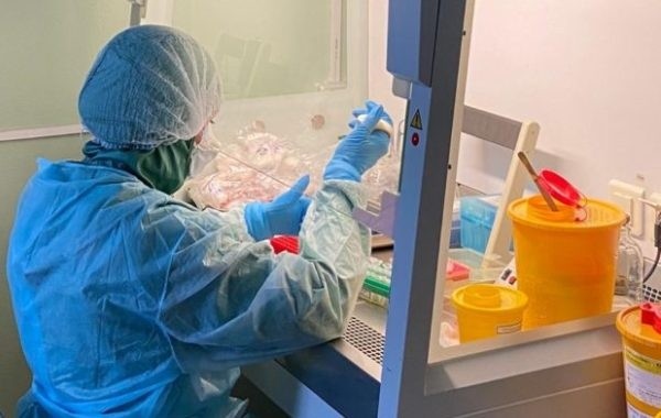 Подтверждена возможность повторного заражения коронавирусом