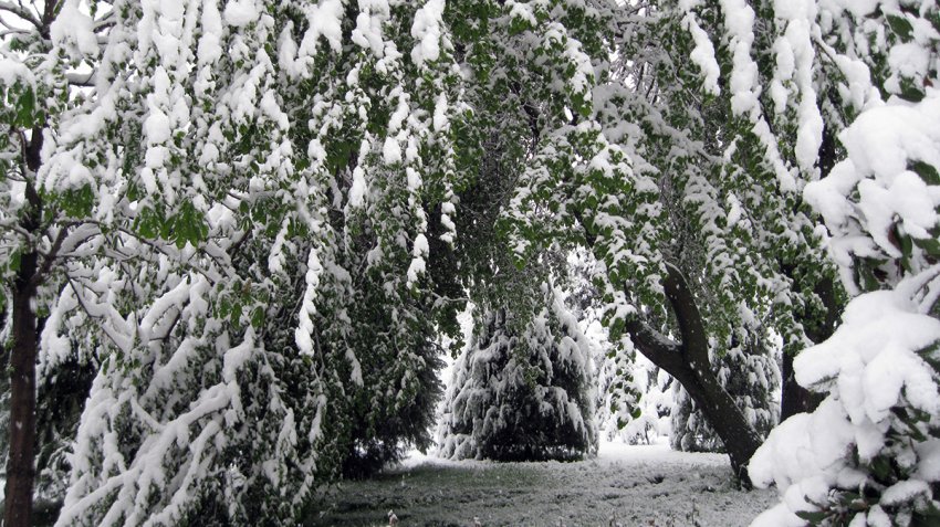 Погода в Москве на Крещение в 2021 году обещает аномалии