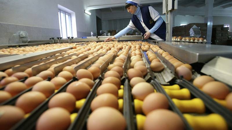 Цены на птицу и яйца в России снова могут вырасти
