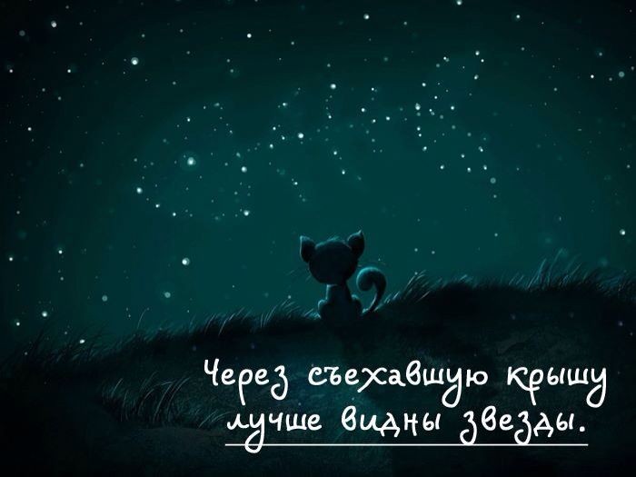 День съехавшей крыши отмечают 24 февраля 2021 года