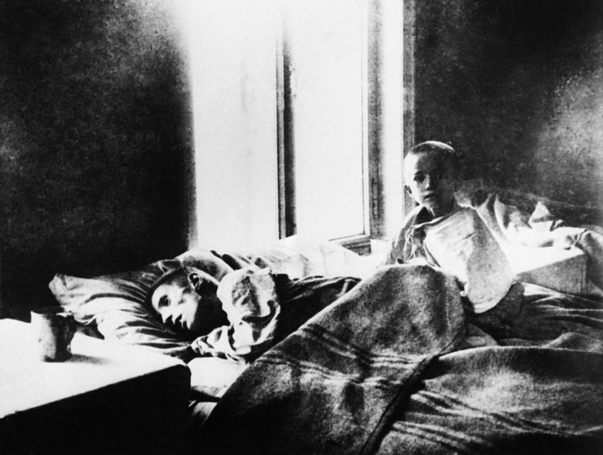 Лютый голод 1921 года, как это было