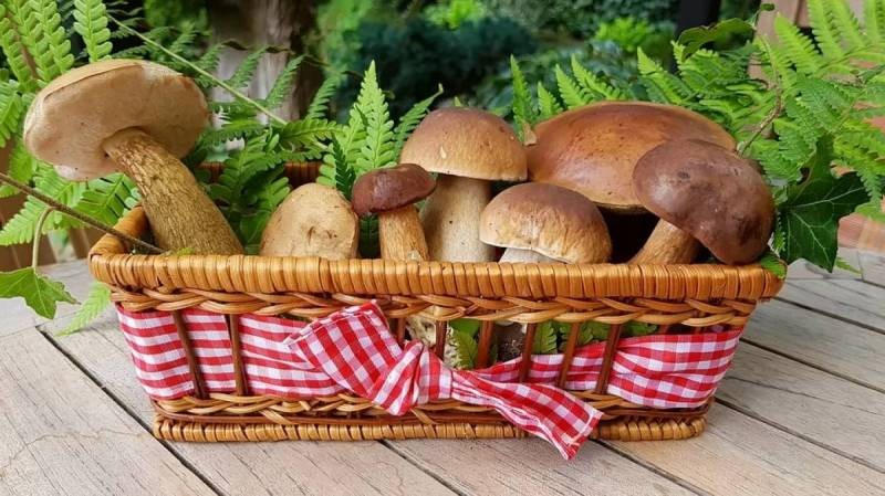 Список продуктов, которыми может питаться верующий, практикуя сухоядение во время поста