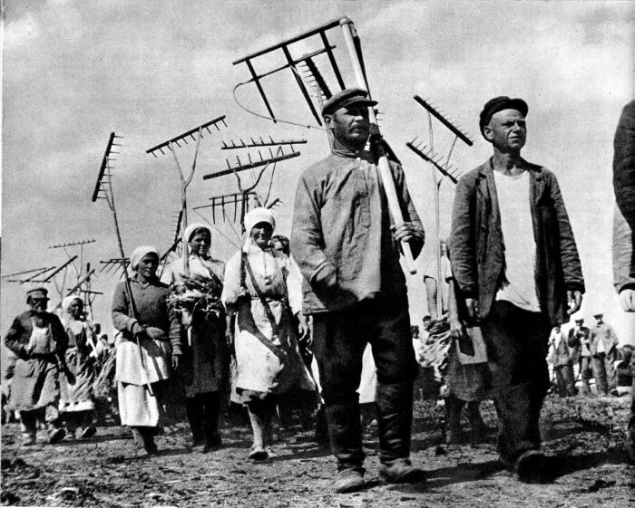 Почему в советских колхозах людям не платили зарплаты