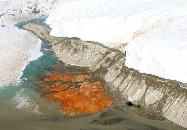 Самые страшные открытия, сделанные в Антарктиде