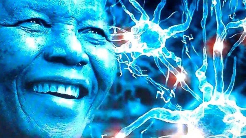 Эффект Манделы: ошибка памяти или связь с параллельной вселенной?
