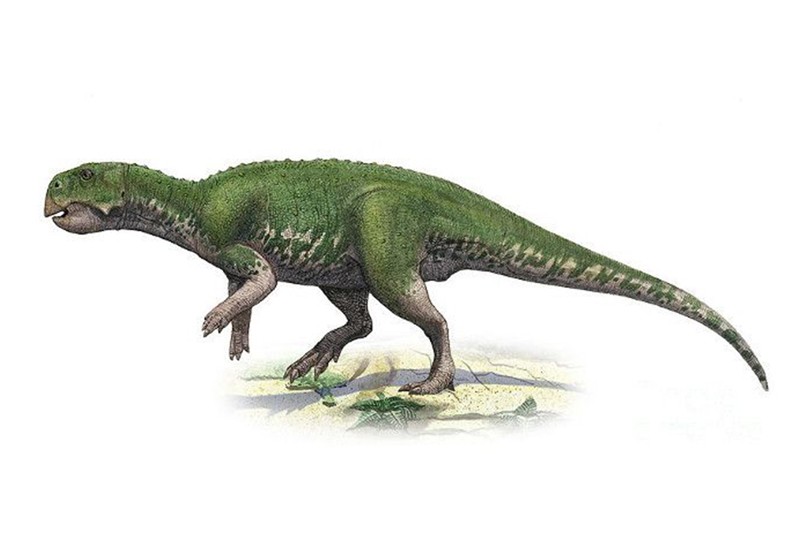 Как менялись представления о динозаврах