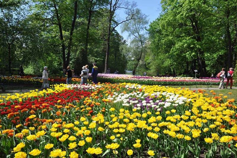На День рождения Санкт-Петербурга, с 27 по 30 мая 2021 года, запланировано множество всевозможных мероприятий