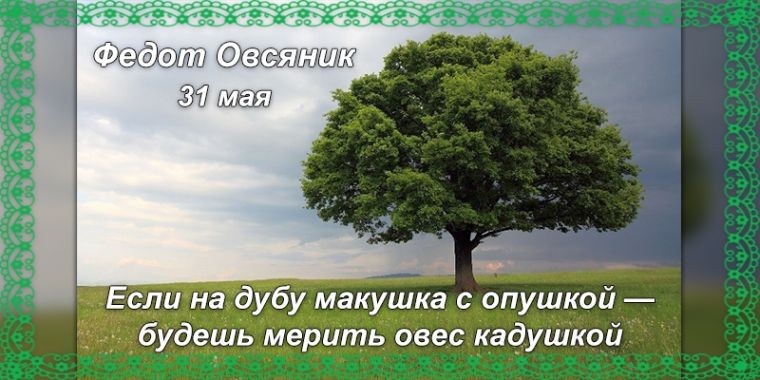 Какой праздник сегодня, 31 мая, отмечают в разных странах мира