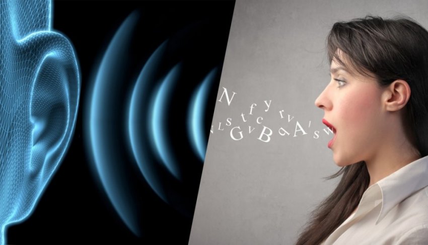 Человеческий язык: одна из главных мировых загадок