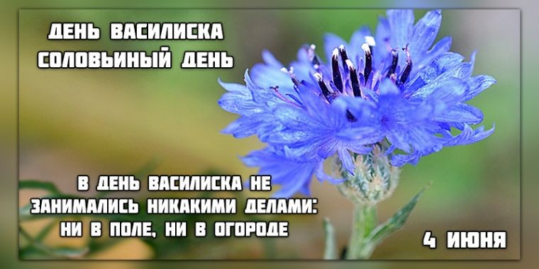 Какой праздник сегодня, 4 июня, отмечают в разных странах мира