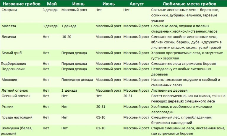 Тихая охота в Подмосковье: можно ли сейчас собирать грибы, и какие