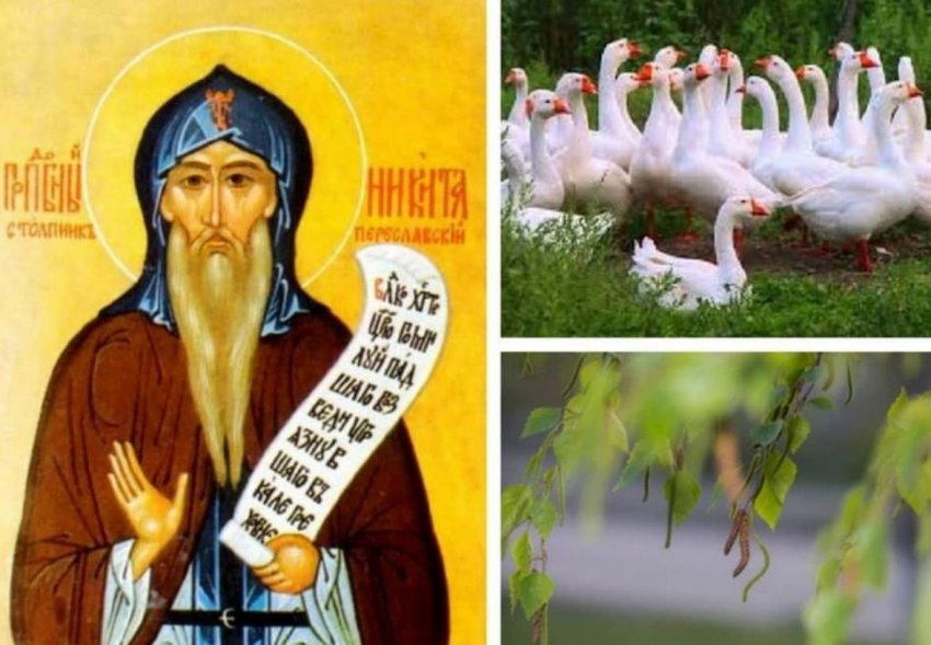 Народные приметы 10 июня, в день Никиты Гусятника