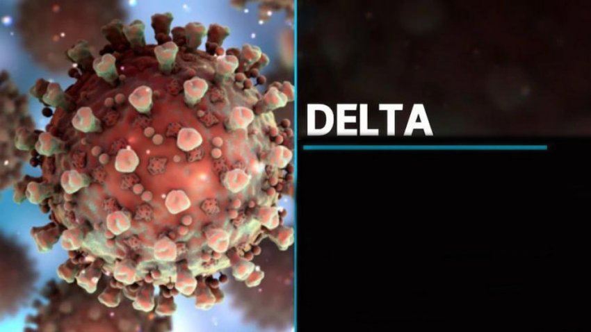 Новая стадия пандемии: опасный штамм "Дельта"