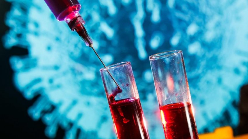 Откуда появились версии об искусственной природе коронавируса