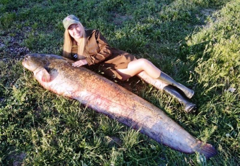 Россиянка Вероника Дичка сделала «дикую» фотосессию с медведем на рыбалке