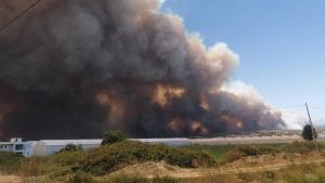 Пожары в Турции: как развиваются события и какая обстановка в данный момент