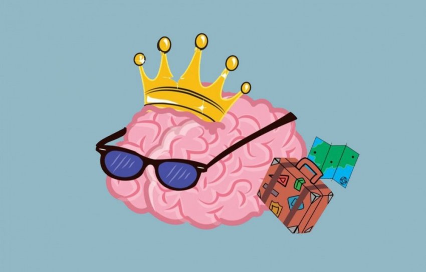 ТОП-14 фактов о работе мозга