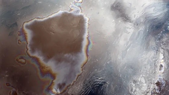 Названа предварительная причина разлива нефти у Новороссийска