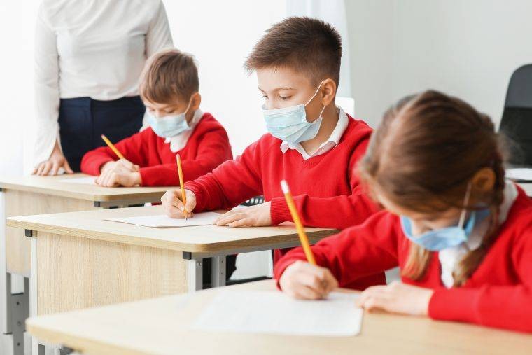 В каком режиме будут работать школы из-за выборов в Госдуму в 2021 году
