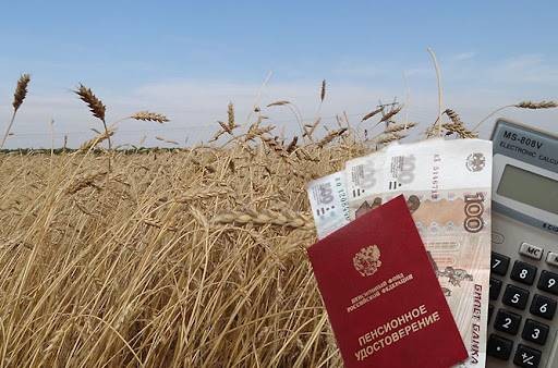 Больше без привязки: с 2022 года доплата к пенсии за стаж в сельской местности будет назначаться по новым правилам