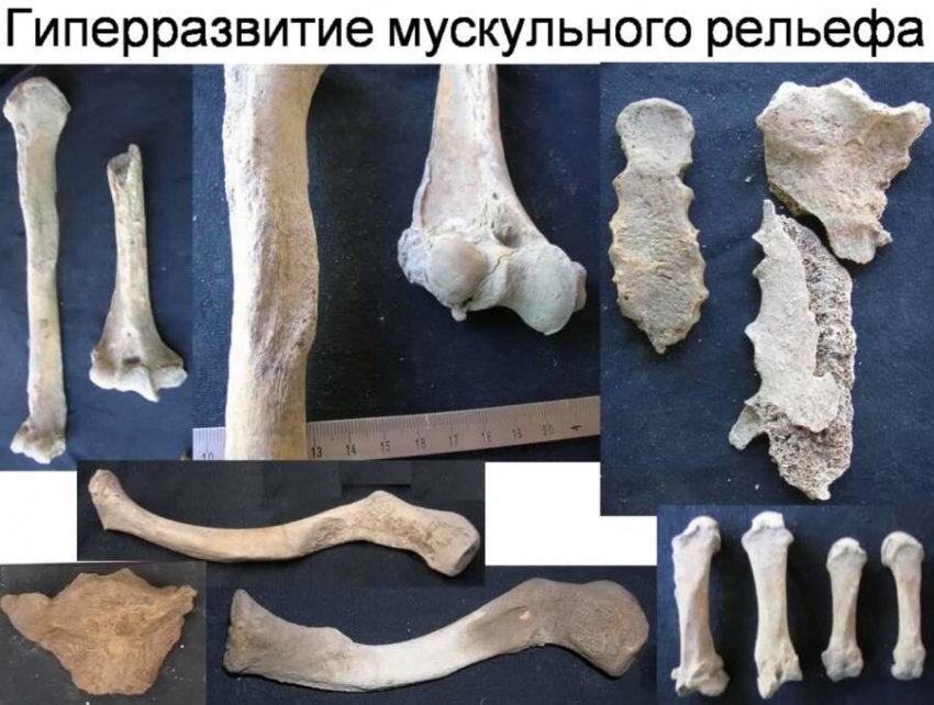 Корабли на мускульной тяге или плавучая каторга