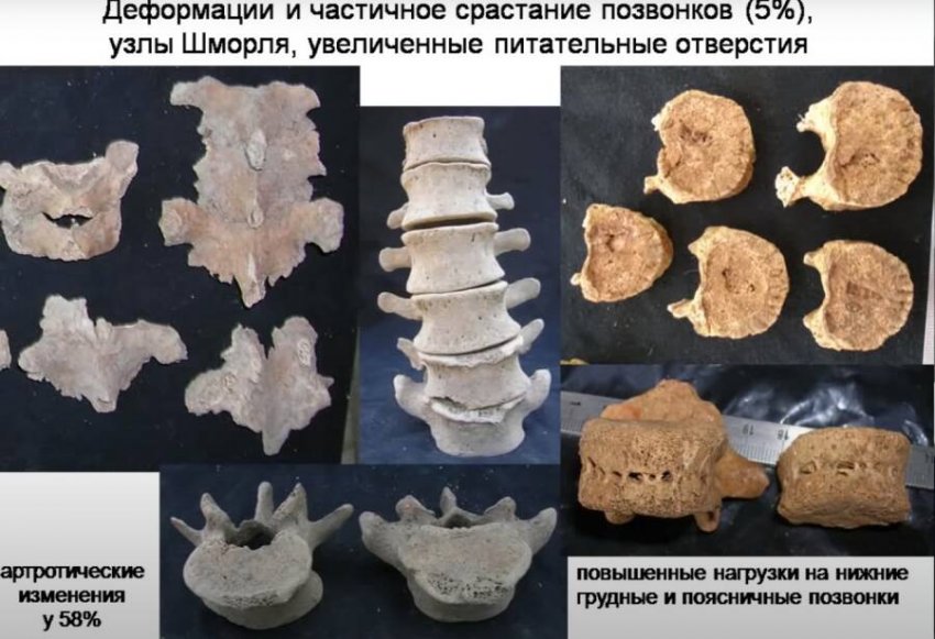Корабли на мускульной тяге или плавучая каторга